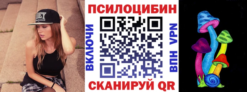 Псилоцибиновые грибы GOLDEN TEACHER  наркота  Алзамай 