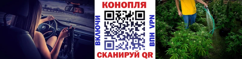 Бошки марихуана конопля Алзамай